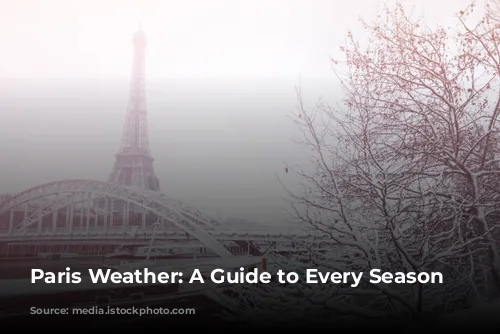 Paris Weather: A Guide to Every Season