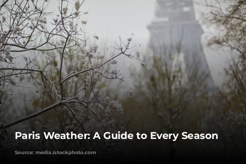 Paris Weather: A Guide to Every Season