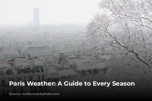 Paris Weather: A Guide to Every Season