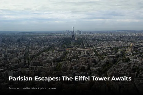 Parisian Escapes:  The Eiffel Tower Awaits