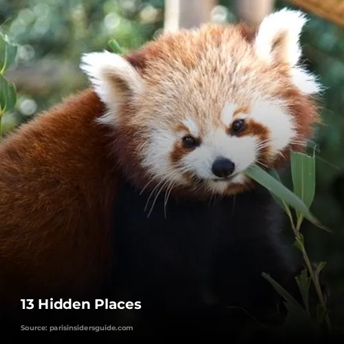 13 Hidden Places