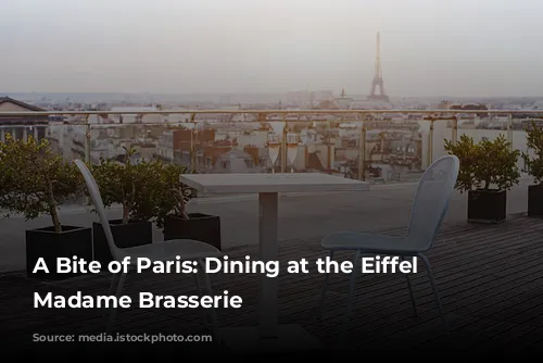 A Bite of Paris: Dining at the Eiffel Tower's Madame Brasserie