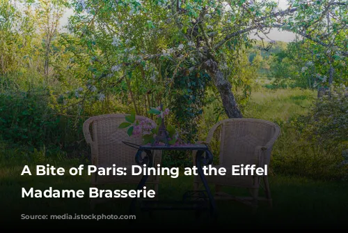 A Bite of Paris: Dining at the Eiffel Tower's Madame Brasserie