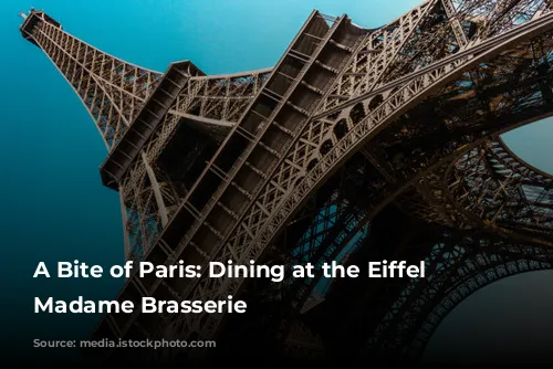 A Bite of Paris: Dining at the Eiffel Tower's Madame Brasserie