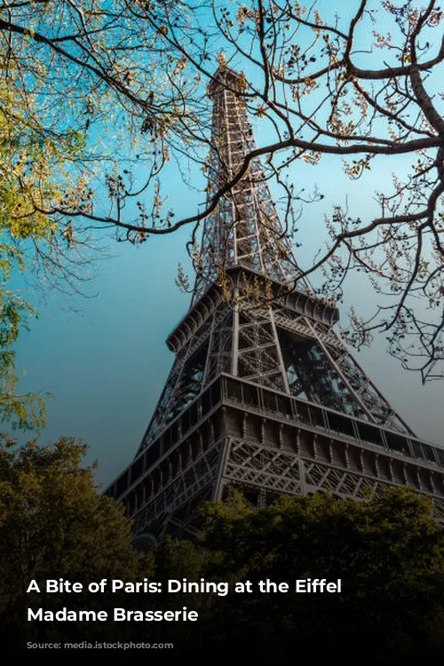 A Bite of Paris: Dining at the Eiffel Tower's Madame Brasserie