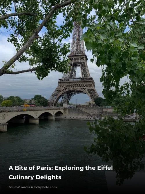 A Bite of Paris: Exploring the Eiffel Tower's Culinary Delights