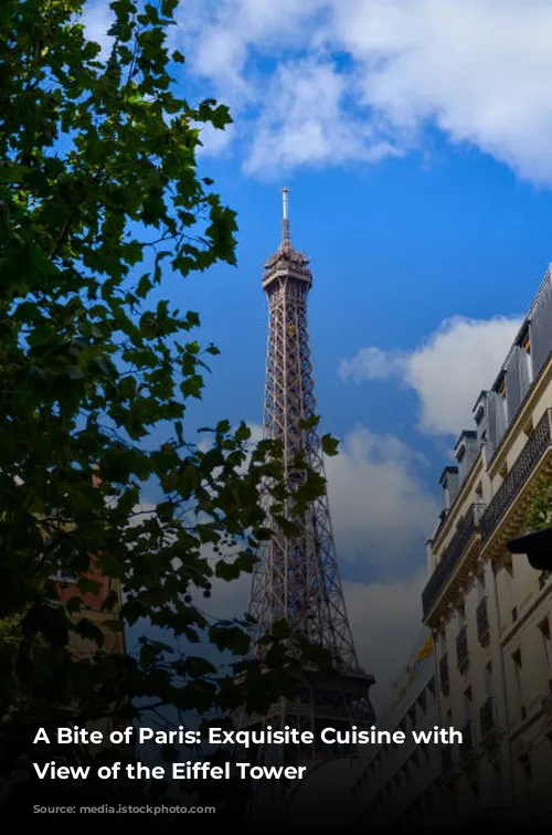 A Bite of Paris: Exquisite Cuisine with a View of the Eiffel Tower