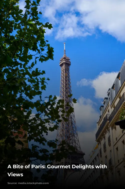 A Bite of Paris: Gourmet Delights with Stunning Views