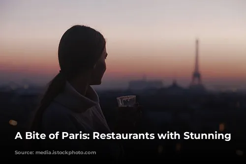 A Bite of Paris: Restaurants with Stunning Views