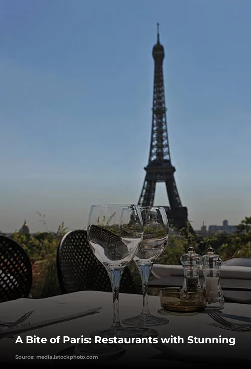 A Bite of Paris: Restaurants with Stunning Views