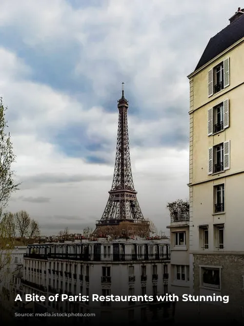 A Bite of Paris: Restaurants with Stunning Views