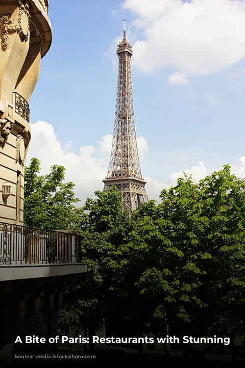 A Bite of Paris: Restaurants with Stunning Views