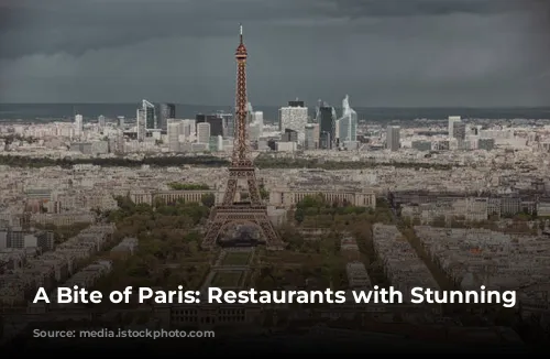 A Bite of Paris: Restaurants with Stunning Views