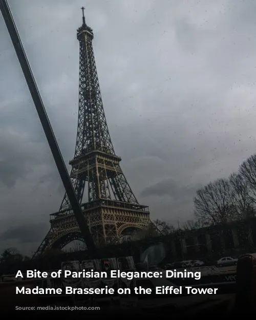 A Bite of Parisian Elegance: Dining at Madame Brasserie on the Eiffel Tower