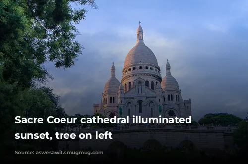 Sacre Coeur cathedral illuminated at sunset, tree on left