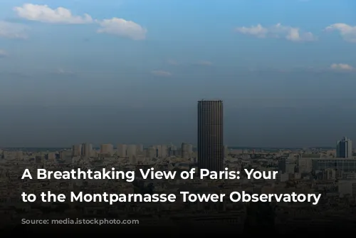 A Breathtaking View of Paris: Your Guide to the Montparnasse Tower Observatory