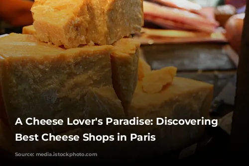 A Cheese Lover's Paradise: Discovering the Best Cheese Shops in Paris