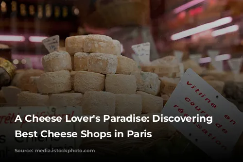 A Cheese Lover's Paradise: Discovering the Best Cheese Shops in Paris