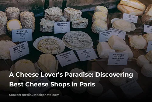 A Cheese Lover's Paradise: Discovering the Best Cheese Shops in Paris