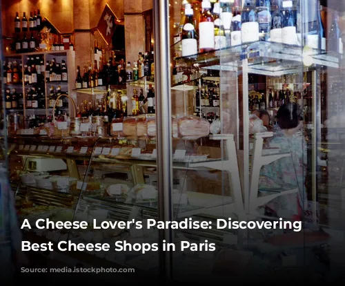 A Cheese Lover's Paradise: Discovering the Best Cheese Shops in Paris