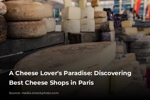 A Cheese Lover's Paradise: Discovering the Best Cheese Shops in Paris