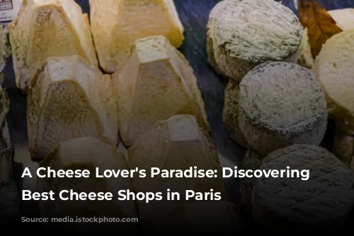 A Cheese Lover's Paradise: Discovering the Best Cheese Shops in Paris