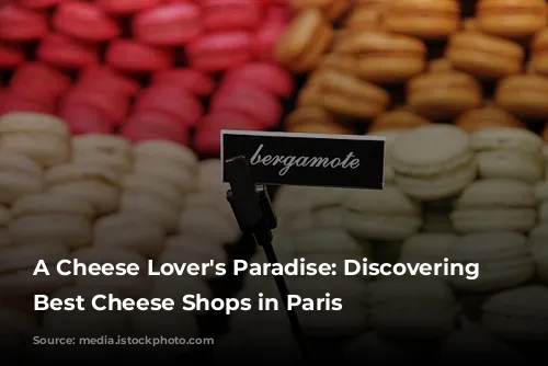 A Cheese Lover's Paradise: Discovering the Best Cheese Shops in Paris