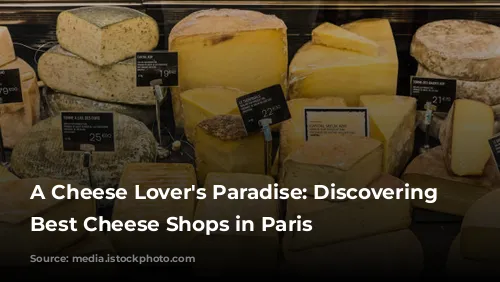 A Cheese Lover's Paradise: Discovering the Best Cheese Shops in Paris