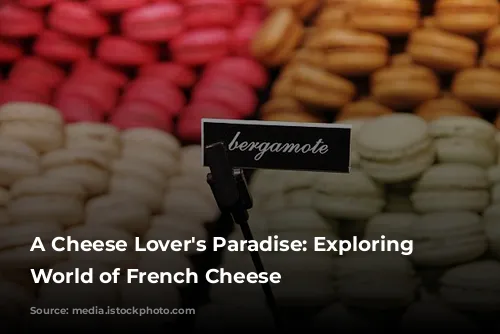 A Cheese Lover's Paradise: Exploring the World of French Cheese