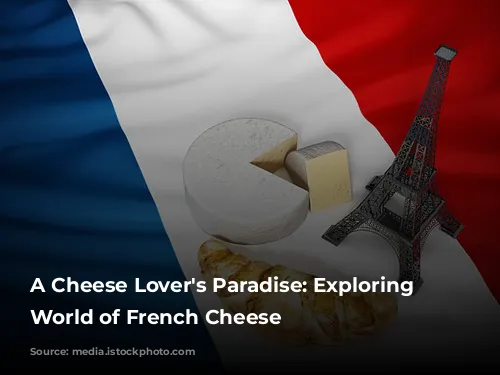 A Cheese Lover's Paradise: Exploring the World of French Cheese