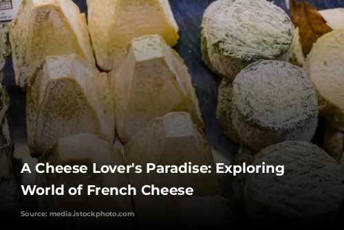 A Cheese Lover's Paradise: Exploring the World of French Cheese