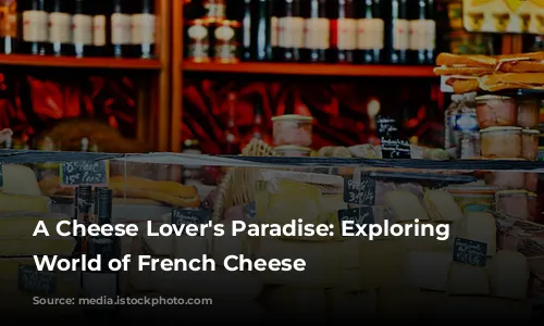 A Cheese Lover's Paradise: Exploring the World of French Cheese