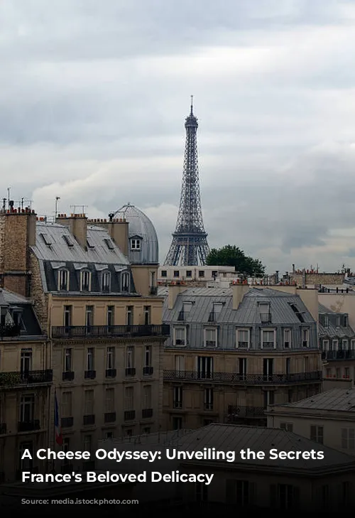 A Cheese Odyssey: Unveiling the Secrets of France's Beloved Delicacy