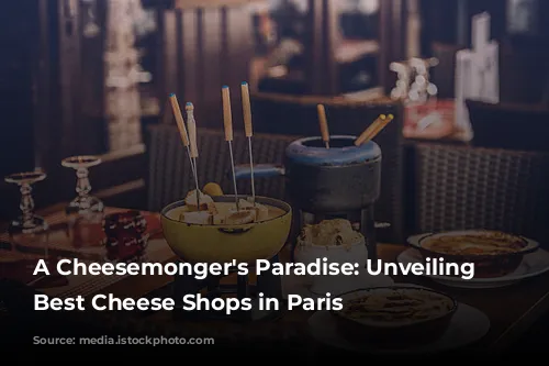 A Cheesemonger's Paradise: Unveiling the Best Cheese Shops in Paris