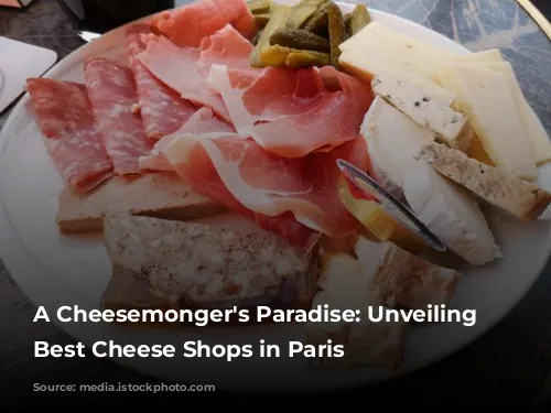 A Cheesemonger's Paradise: Unveiling the Best Cheese Shops in Paris