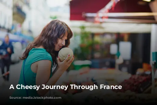 A Cheesy Journey Through France