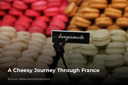 A Cheesy Journey Through France