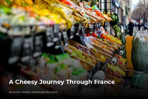 A Cheesy Journey Through France