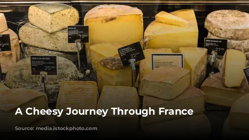 A Cheesy Journey Through France