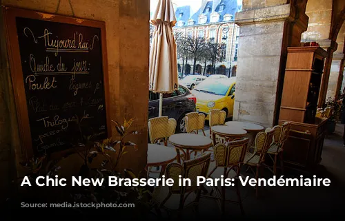 A Chic New Brasserie in Paris: Vendémiaire