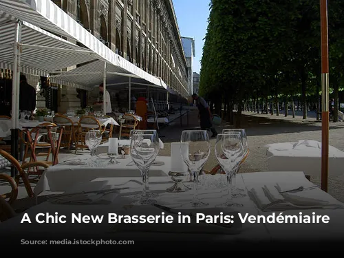 A Chic New Brasserie in Paris: Vendémiaire