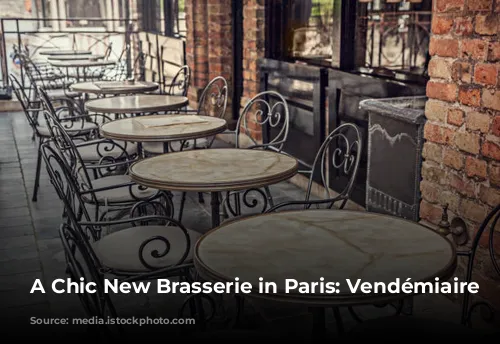 A Chic New Brasserie in Paris: Vendémiaire