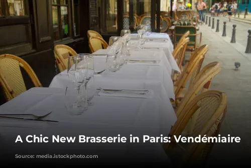 A Chic New Brasserie in Paris: Vendémiaire