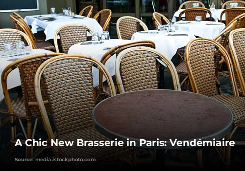 A Chic New Brasserie in Paris: Vendémiaire