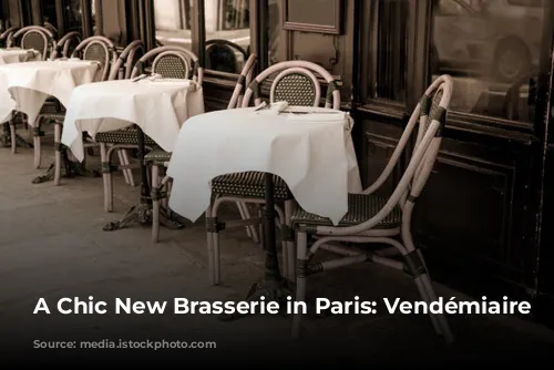 A Chic New Brasserie in Paris: Vendémiaire