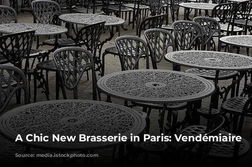 A Chic New Brasserie in Paris: Vendémiaire