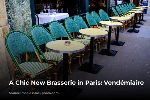 A Chic New Brasserie in Paris: Vendémiaire