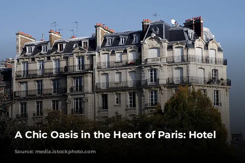 A Chic Oasis in the Heart of Paris: Hotel Balzac