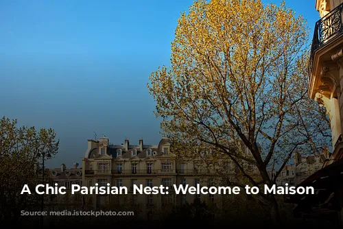 A Chic Parisian Nest: Welcome to Maison Mère!