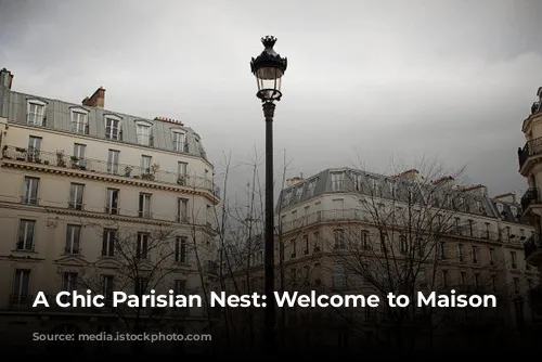 A Chic Parisian Nest: Welcome to Maison Mère!